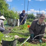 Carshalton Community Food Growing Project