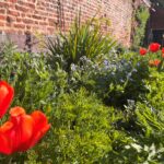 Community Walled Garden
