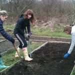 Carshalton Community Food Growing Project